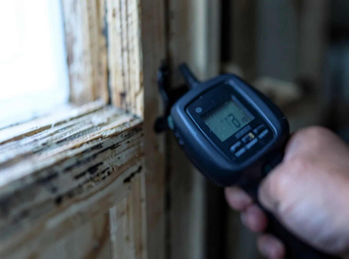 Moisture Inspection And Documentation in Margaret, AL